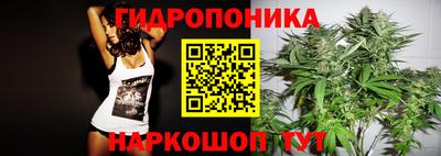 твердый Пушкино