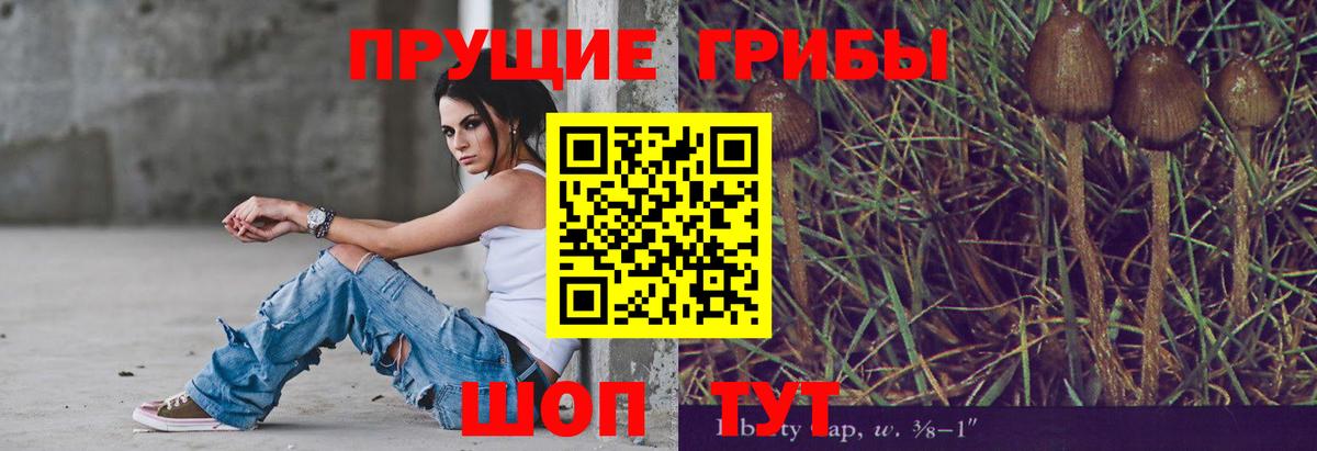 Хабаровск  Галлюциногенные грибы Magic Shrooms  Вход с VPN  Галлюциногенные грибы мицелий 